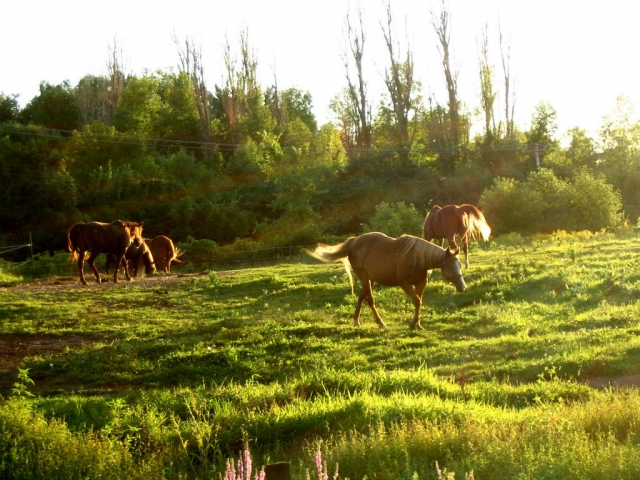 Look at the beautiful scenery! 