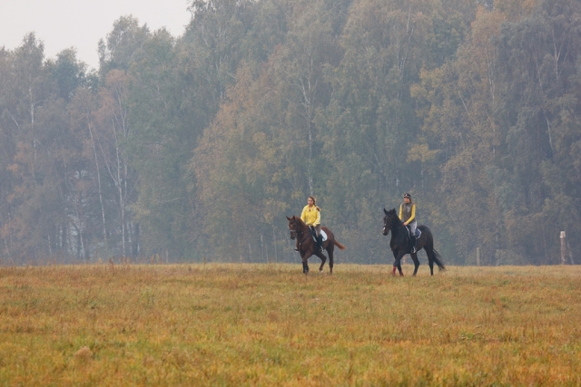 Open Hacking at Fly Laithe Stables