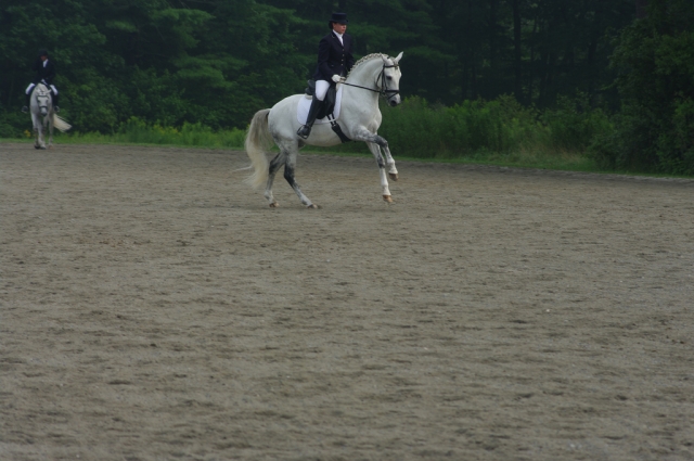 Dressage courses at Fly Laithe Stables