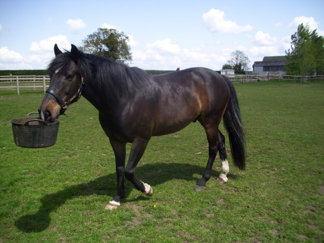  思科玩取球！！ 