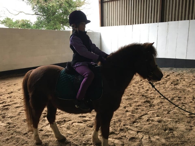  马活动中心的新手课程。 