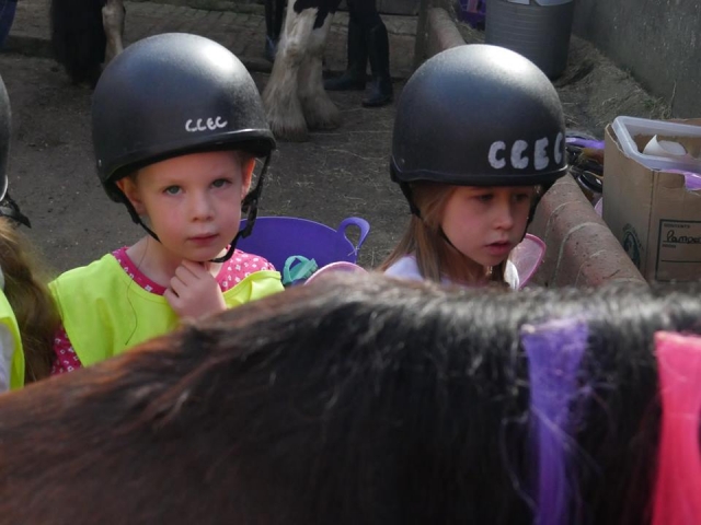 Learning about horses!
