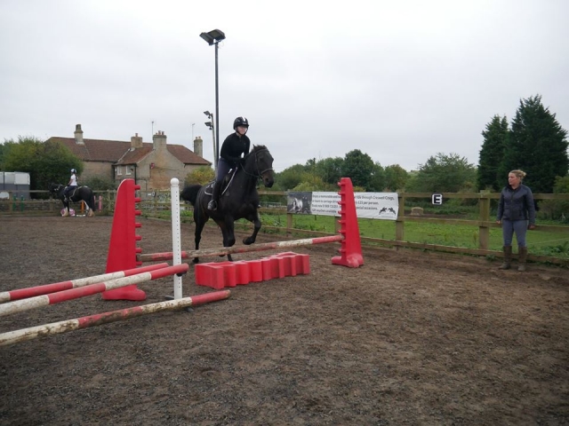 Courses for everyone!