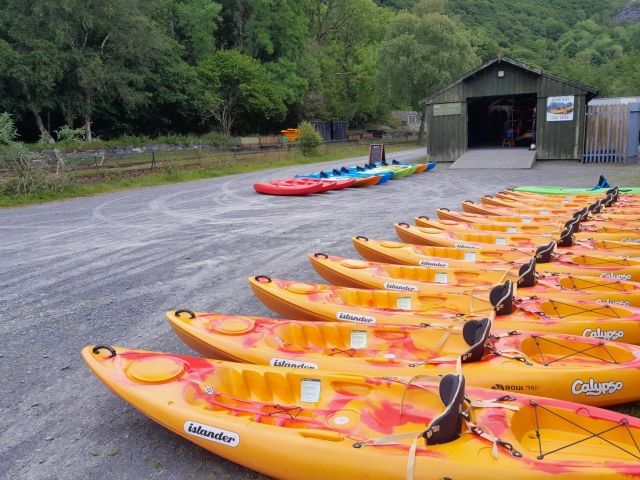 Lined up and ready to go