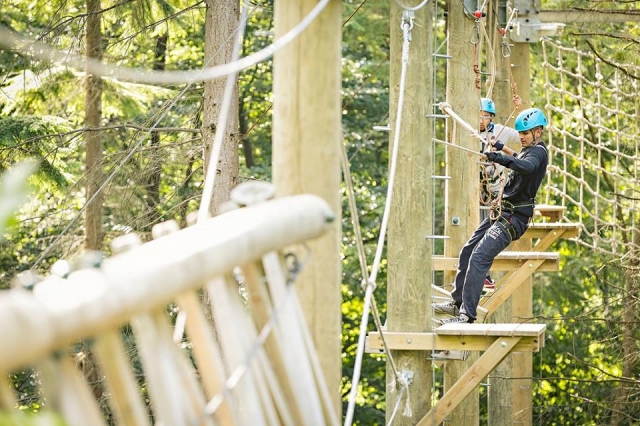 high ropes