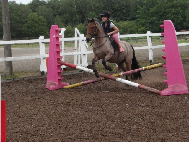 Learn some new skills with Chobham Equestrian Centre 