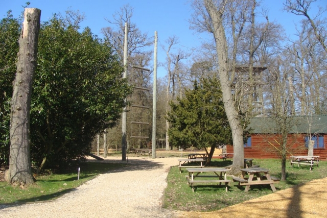 The high ropes course.