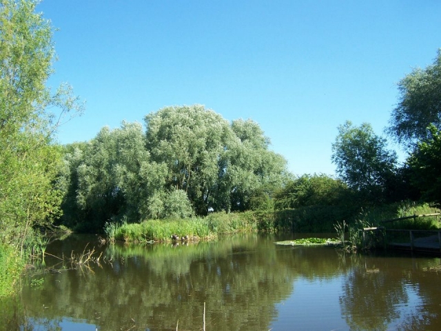 Sit back and wait for the fish to bite.