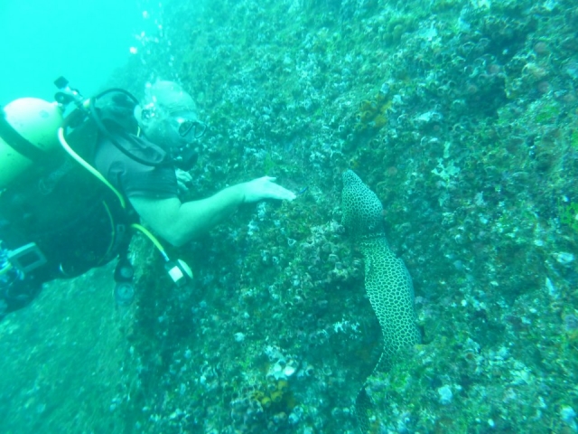 A really fun activity.