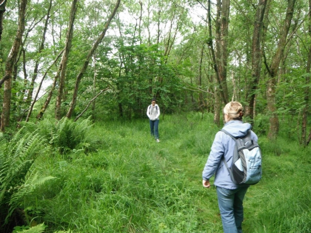 Hiking is a great way to relax.