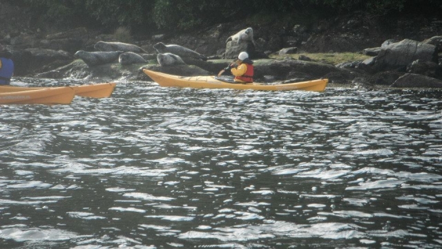 Kayaking is a fun activity to do.