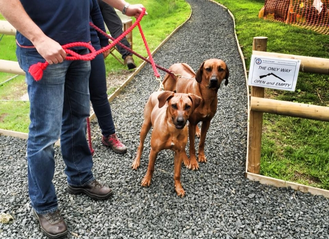  Des amis à fourrure pour aller tirer