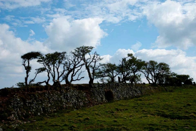  Algumas excelentes vistas. 