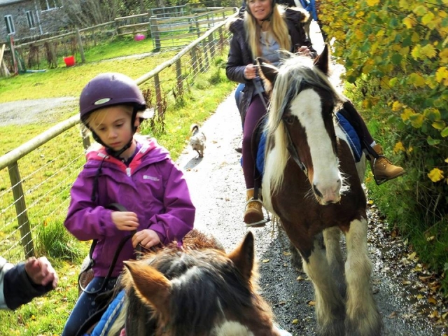  Trekking com pônei e quad -trek 
