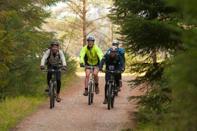 La mountain bike è una grande attività all'aria aperta. 