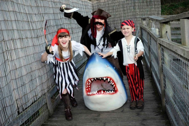  Organizza una festa pirata. 