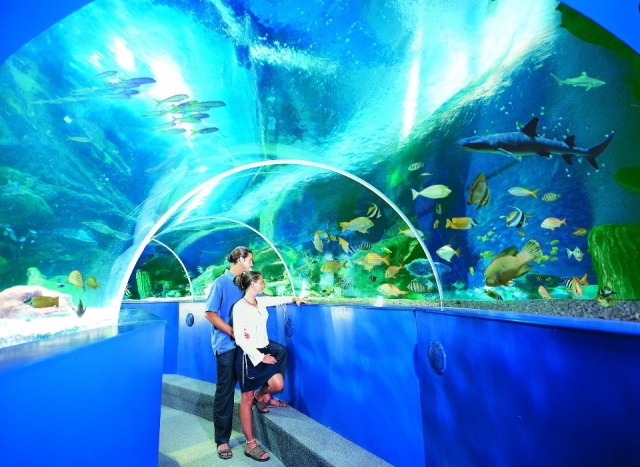 Blue Reef Aquarium Newquay