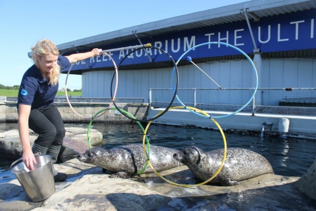 Great things to see.