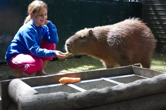 Drusillas Park