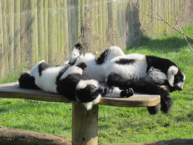 Enjoy a great day out.