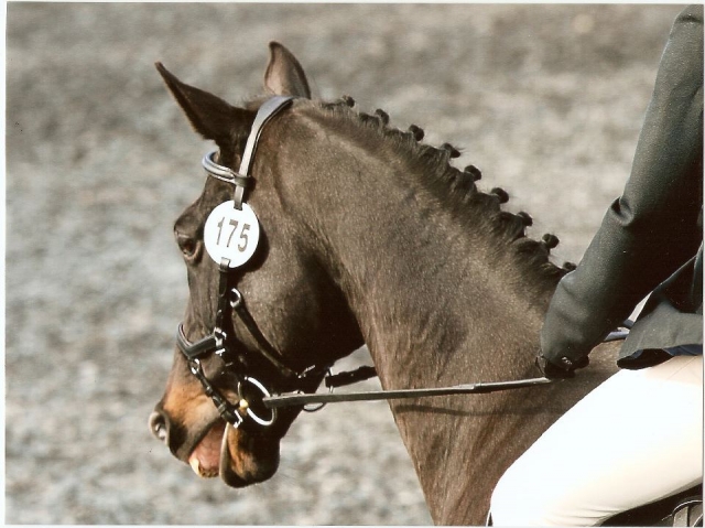 一个伟大的俱乐部加入。