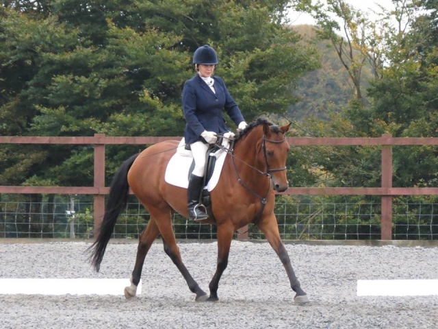 在西萨默塞特马术俱乐部开放盛装舞步。