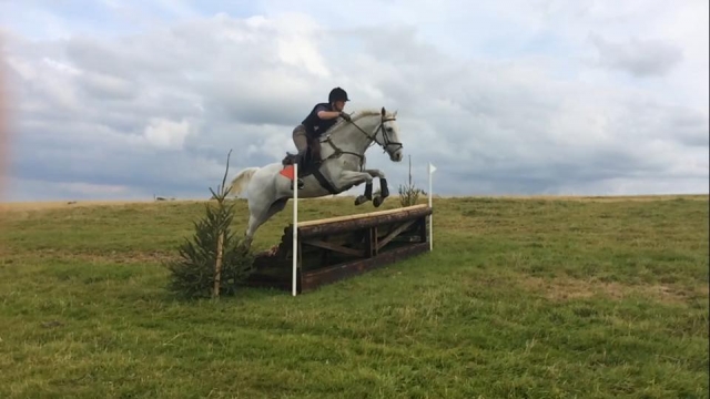 西萨默塞特马术俱乐部的马术比赛。