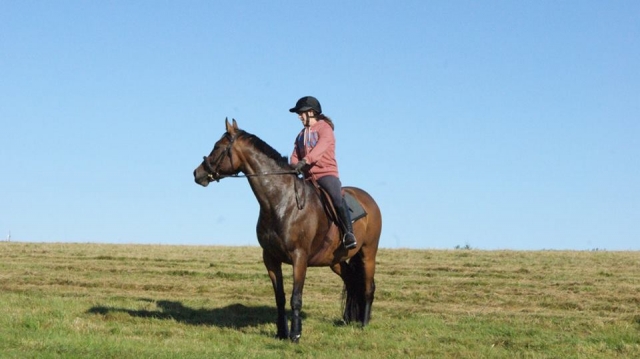 在西萨默塞特马术俱乐部开放盛装舞步。