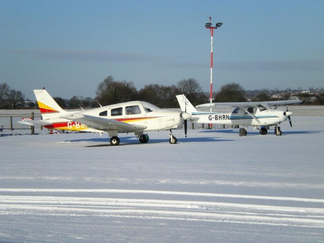 e-19696694-wol-415139295595946.jpg