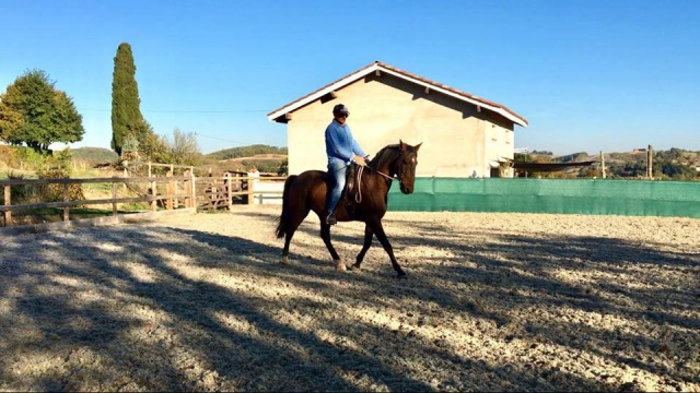  Hacking en Perry Wood 