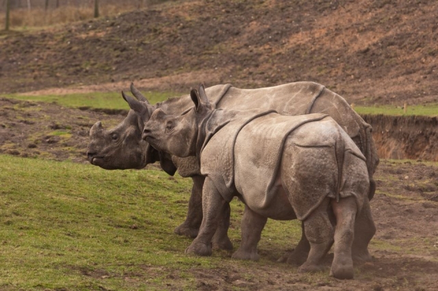 Get up close and personal with the animals.