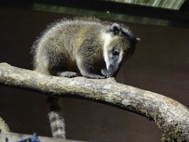 Great things to see. 