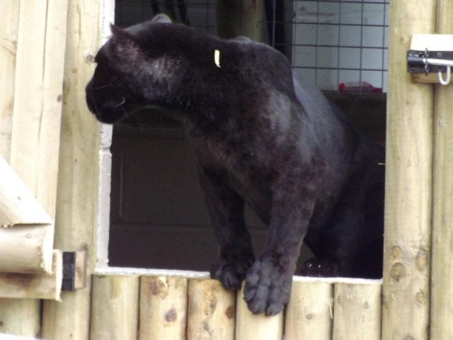 Lots of new things to discover.