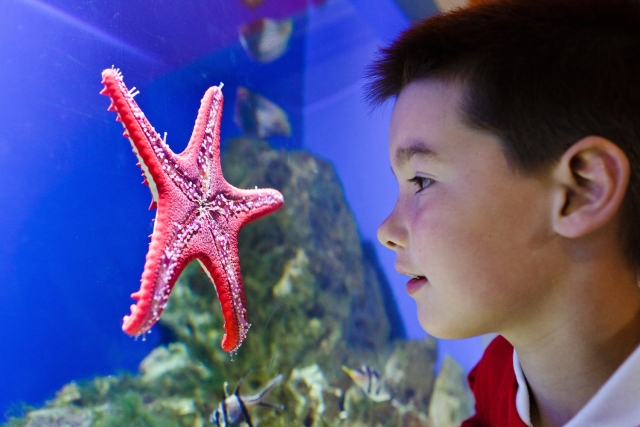 A great place to come.