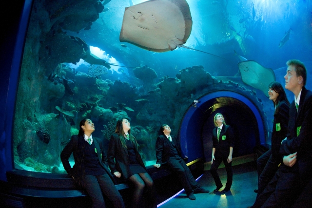 Enjoy the great tunnel.