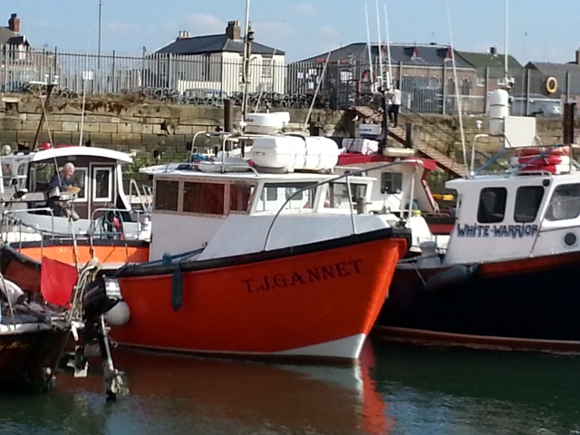 TJ Gannet In Victoria Dock
