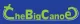 The Big Canoe