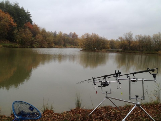 Fishing is a great activity. 