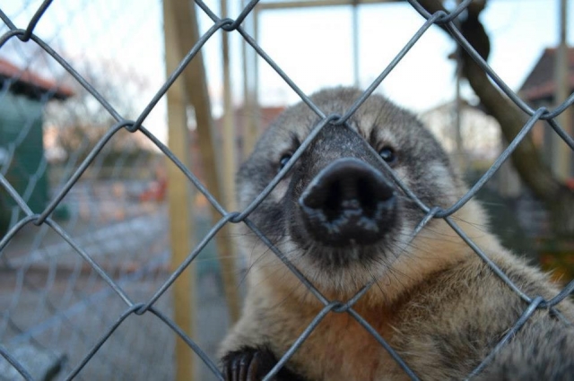 Have fun with your friends.