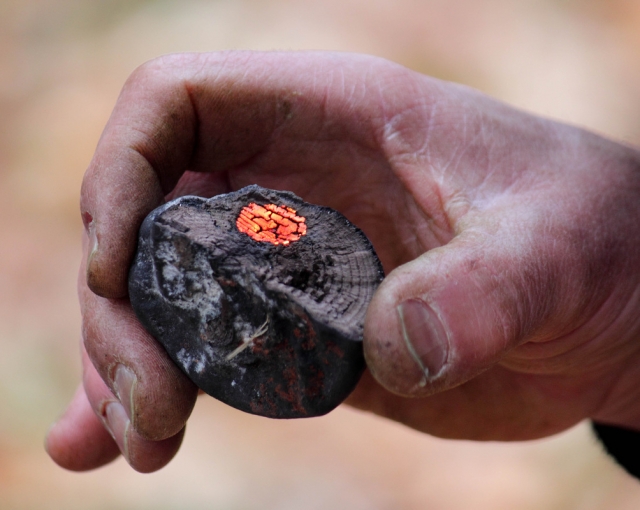  Aprende algunos grandes skils. 