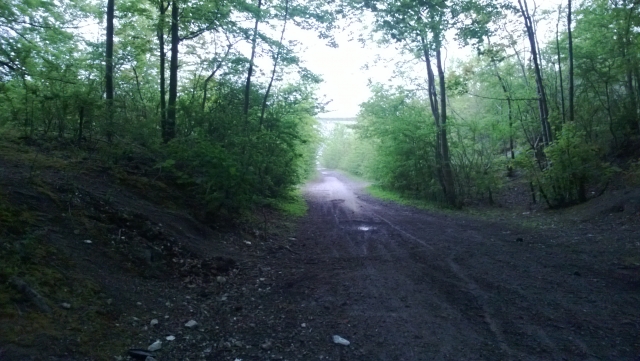  Nature 