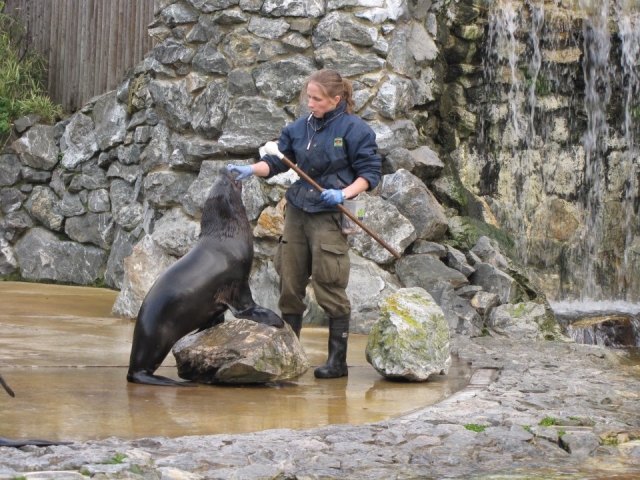  Un super endroit pour venir.