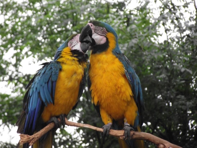  一个值得参观的好地方。 