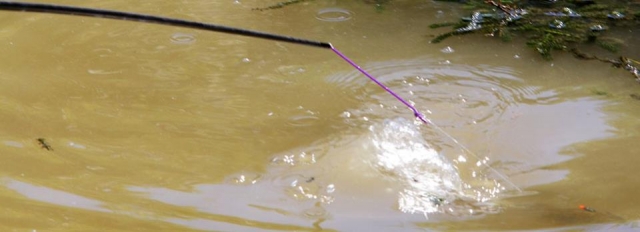  La pesca es una gran actividad. 