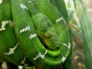 A great place to come.