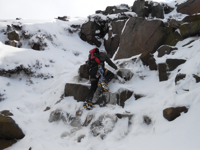 Climbing is also lots of fun.