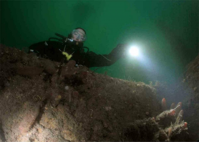  Descubrir en el nuevo mundo. 