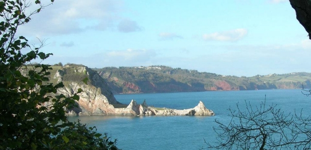  一项很棒的活动。 