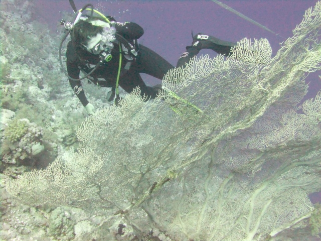  Una grande attività da fare. 