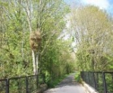  Una excelente manera de explorar el país. 